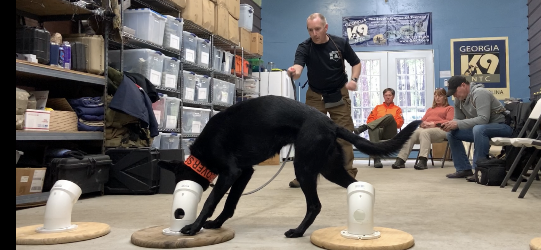 A K9 search and rescue handler directing a dog during a training exercise